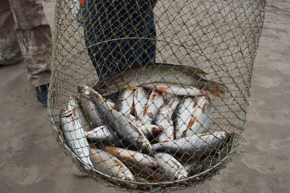Рыбалка в Тюмени. Рыболовный сайт. река Тавда.