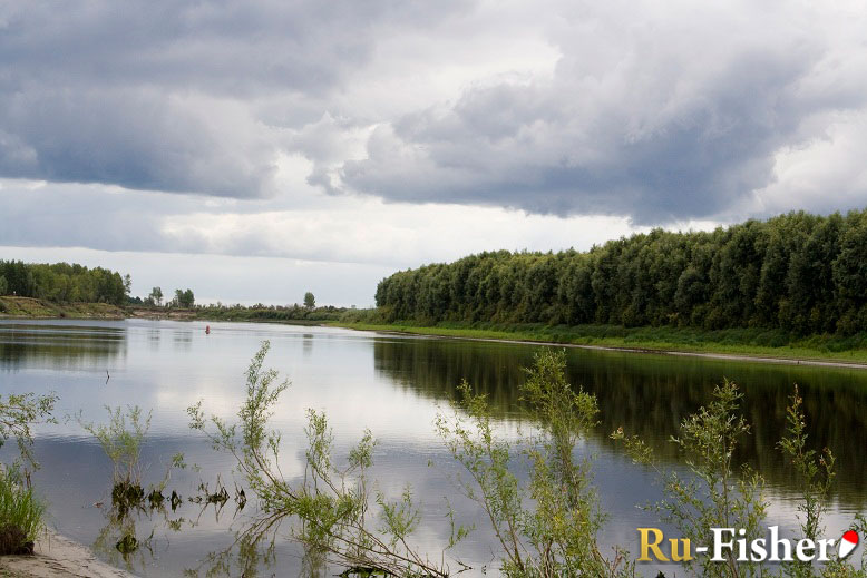 Рыбалка на Туре. Созоново