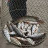 Рыбалка на реке Тавда