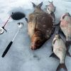 Важные моменты зимней рыбалки