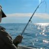 Рыбалка на море: снаряжение и места богатого улова