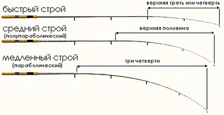 Строй фидерного удилища