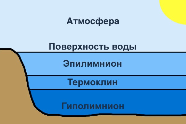 Термоклин. Рыбалка.